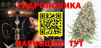 соль курить ск Партизанск